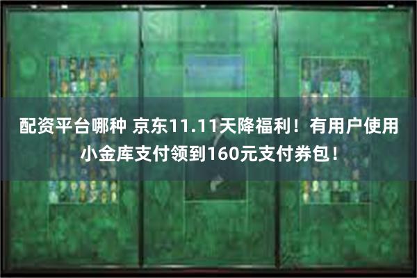 配资平台哪种 京东11.11天降福利！有用户使用小金库支付领到160元支付券包！