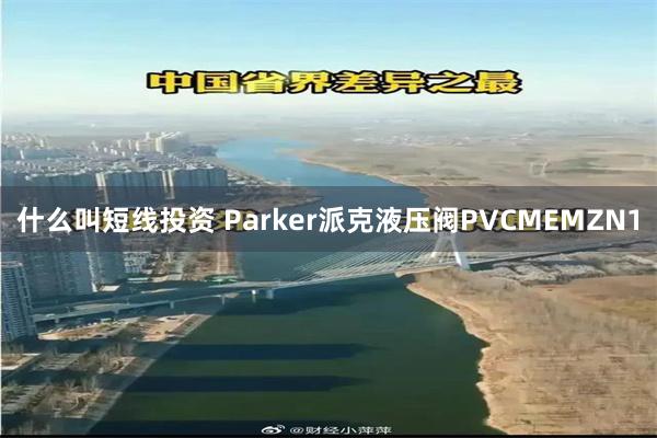 什么叫短线投资 Parker派克液压阀PVCMEMZN1