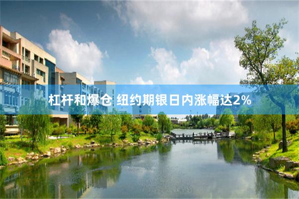 杠杆和爆仓 纽约期银日内涨幅达2%