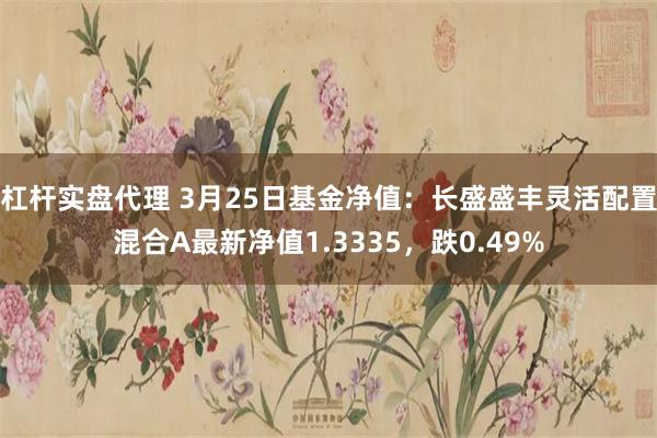 杠杆实盘代理 3月25日基金净值：长盛盛丰灵活配置混合A最新净值1.3335，跌0.49%