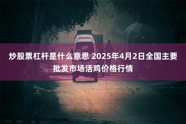 炒股票杠杆是什么意思 2025年4月2日全国主要批发市场活鸡价格行情