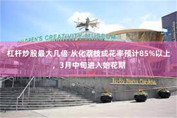 杠杆炒股最大几倍 从化荔枝成花率预计85%以上，3月中旬进入始花期