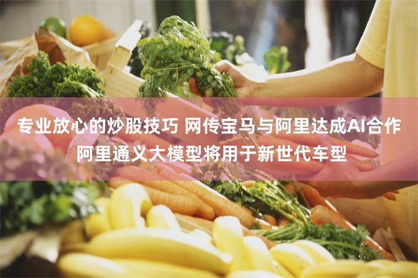 专业放心的炒股技巧 网传宝马与阿里达成AI合作 阿里通义大模型将用于新世代车型