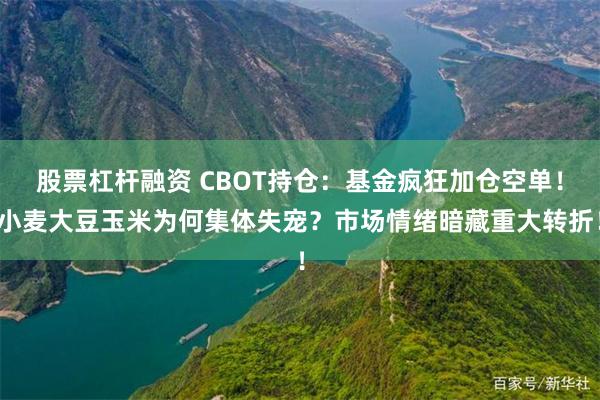 股票杠杆融资 CBOT持仓：基金疯狂加仓空单！小麦大豆玉米为何集体失宠？市场情绪暗藏重大转折！