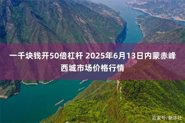 一千块钱开50倍杠杆 2025年6月13日内蒙赤峰西城市场价格行情