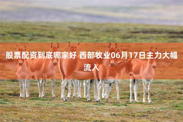 股票配资到底哪家好 西部牧业06月17日主力大幅流入