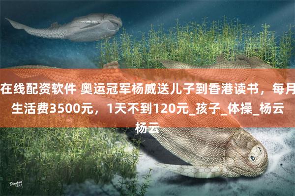在线配资软件 奥运冠军杨威送儿子到香港读书，每月生活费3500元，1天不到120元_孩子_体操_杨云