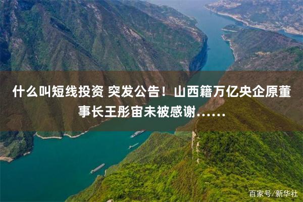 什么叫短线投资 突发公告！山西籍万亿央企原董事长王彤宙未被感谢……